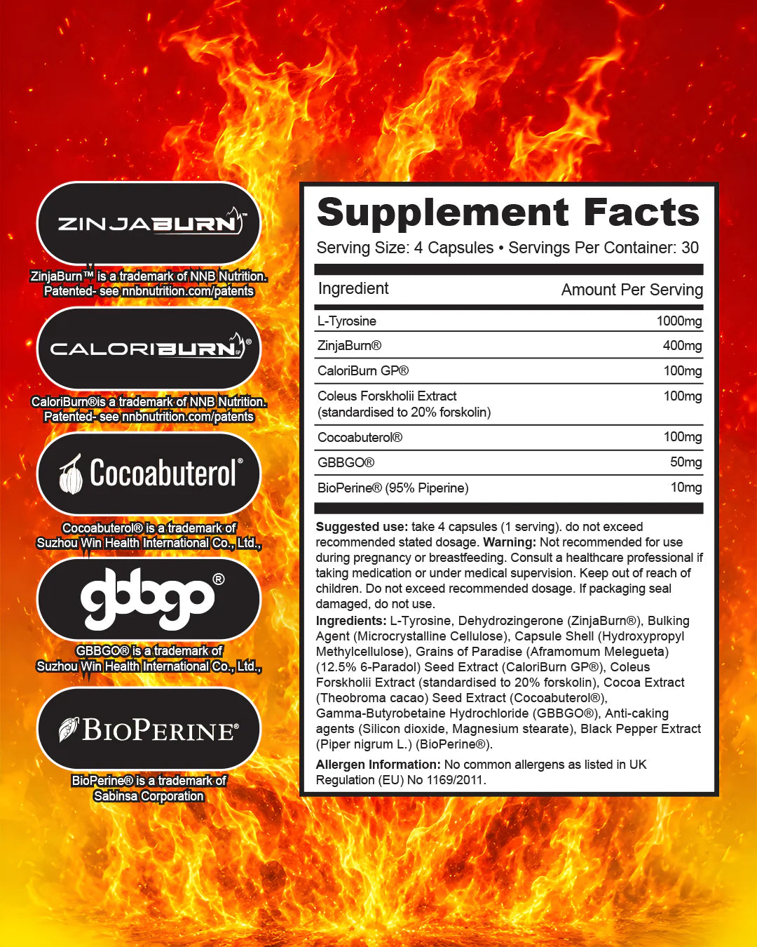 1 Source Supps - Shredded 1 Thermogenic Support