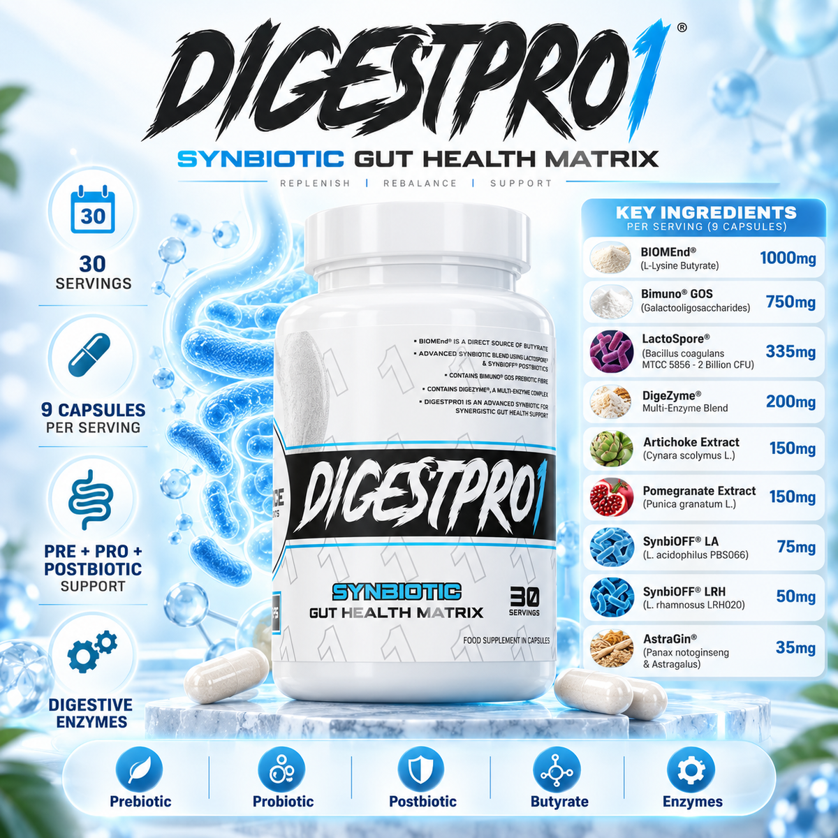 1 Source Supps DIGESTPRO1 Synbiotic Digestion Matrix