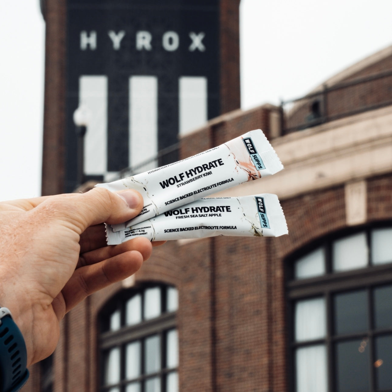 Wolf Supps - Wolf Hydrate Single Serving Stick Pack