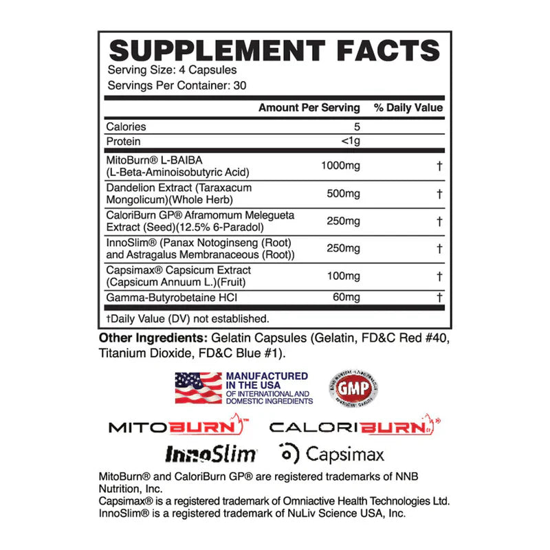 Apollon Nutrition - Molotov