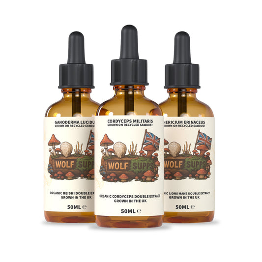 Wolf Supps - Lion’s Mane, Reishi, & Cordyceps Stack Mushroom Tinctures (3 x 50ml)
