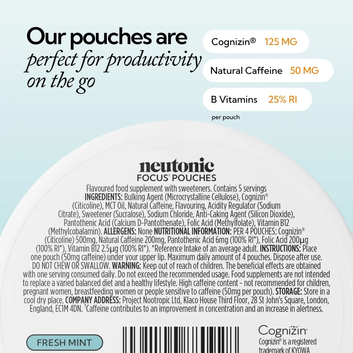 Neutonic Focus Pouches - Fresh Mint